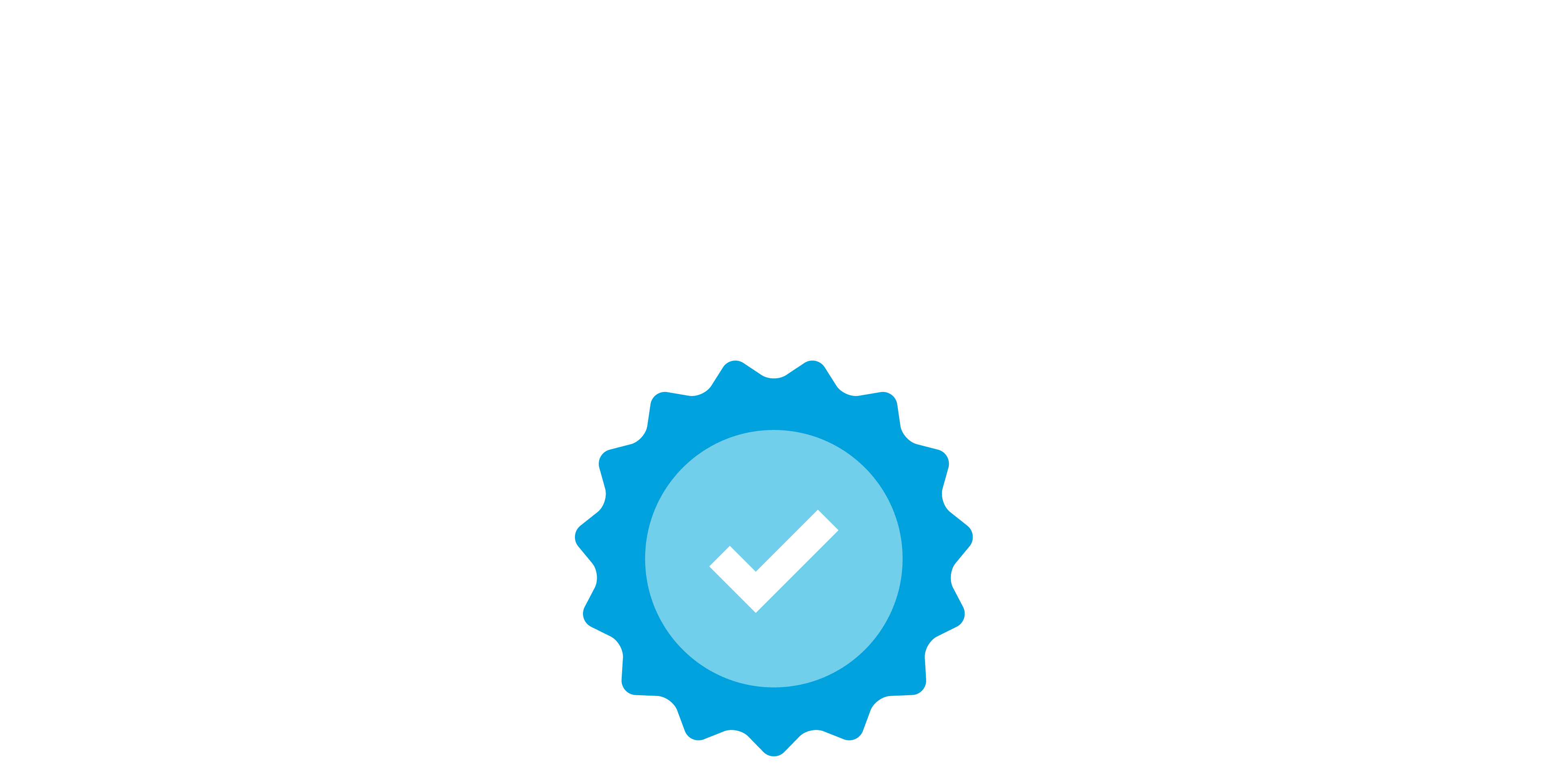 Blue check mark icon